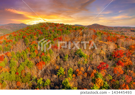 Fall season in Appalachian mountains with dense forest canopies at sunset. Colorful woodland landscape in autumn. Fall season in Appalachian mountains with dense forest canopies at sunset. Colorful woodland landscape in autumn. 143445493