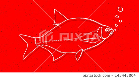 Common Bream (Abramis brama) white line art fish illustration on red speckled background with bubbles Common Bream (Abramis brama) white line art fish illustration on red speckled background with bubbles 143445804