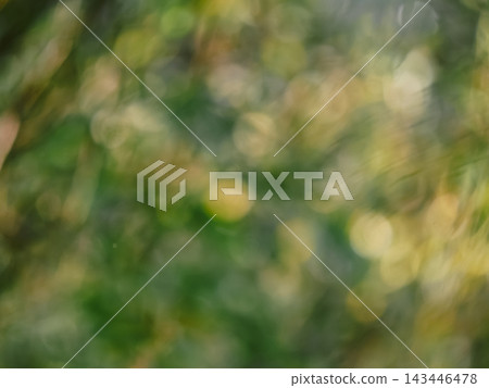 Organic backdrop featuring soft out of focus elements of a summer forest. Natural texture with warm sunbeams and light reflections for environmental design, sustainable branding and website template Organic backdrop featuring soft out of focus elements of a summer forest. Natural texture with warm sunbeams and light reflections for environmental design, sustainable branding and website template 143446478
