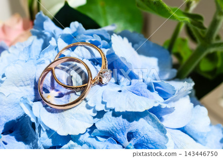Rings on blue hydrangea flowers with soft petals in a natural setting during daylight hours Rings on blue hydrangea flowers with soft petals in a natural setting during daylight hours 143446750