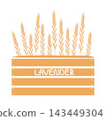Lavender flowers in the box 143449304