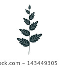 vector illustration mint 143449305
