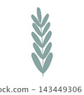 vector leaf in flat style  143449306