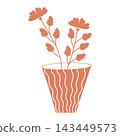 vector illustration on botanical theme with room flower 143449573