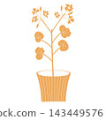vector illustration on botanical theme with room flower 143449576