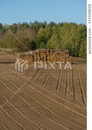 Large stack of rectangular straw bales Large stack of rectangular straw bales 143449608