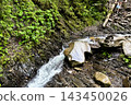Nature scene with flowing stream and lush green surroundings in a peaceful outdoor setting 143450026