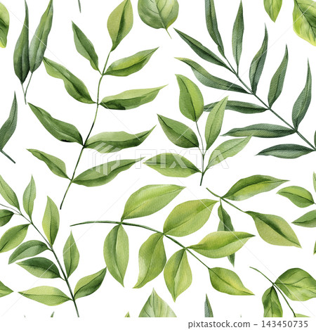 Green watercolor leaves seamless pattern with botanical branches and fresh foliage on white background for natural fabric design Green watercolor leaves seamless pattern with botanical branches and fresh foliage on white background for natural fabric design 143450735