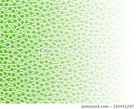 Light yellow-green cell-like texture background material with a gradient that fades from left to right. Horizontal. Other colors available. Light yellow-green cell-like texture background material with a gradient that fades from left to right. Horizontal. Other colors available. 143451297