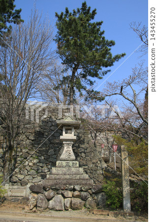 Matsuzakajo 143455270