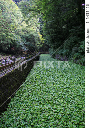Rinno Waterfall Rinno Waterfall 143455416