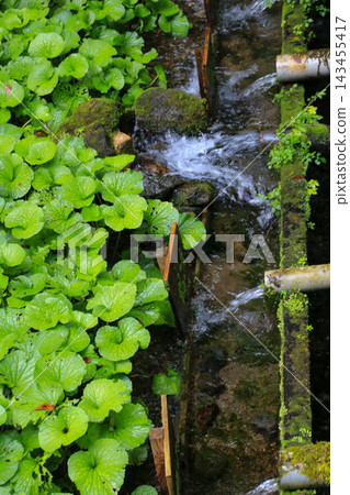 Rinno Waterfall Rinno Waterfall 143455417
