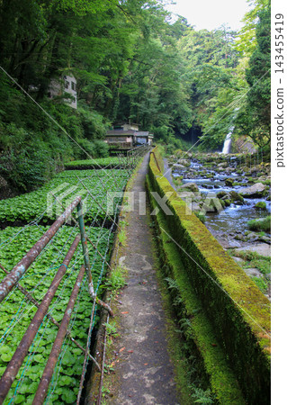 Rinno Waterfall Rinno Waterfall 143455419