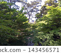 Scenery of Nagoya Tokugawa Garden, Ryusen Lake, photographed in May 2024. 143456571