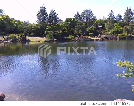 Scenery of Nagoya Tokugawa Garden, Ryusen Lake, photographed in May 2024. Scenery of Nagoya Tokugawa Garden, Ryusen Lake, photographed in May 2024. 143456572