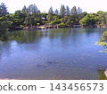 Scenery of Nagoya Tokugawa Garden, Ryusen Lake, photographed in May 2024. 143456573