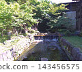 Scenery of Nagoya Tokugawa Garden, Ryusen Lake, photographed in May 2024. 143456575