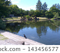 Scenery of Nagoya Tokugawa Garden, Ryusen Lake, photographed in May 2024. 143456577