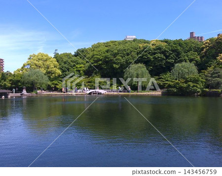 2024年5月拍攝的名古屋德川庭園龍泉湖景色。 2024年5月拍攝的名古屋德川庭園龍泉湖景色。 143456759