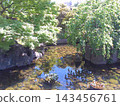 Scenery of Nagoya Tokugawa Garden, Ryusen Lake, photographed in May 2024. 143456761