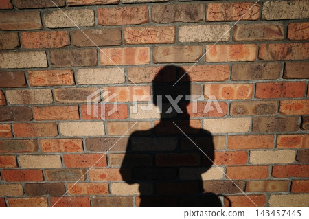 Shadow on a brick wall Shadow on a brick wall 143457445