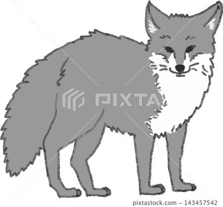 Full-body side view line drawing illustration of a fox (a pest animal), hand-drawn style, stylized (fox, crop damage, bird and animal damage, pest control, monochrome) 143457542