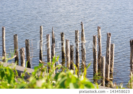 Waterfront and stakes Waterfront and stakes 143458023
