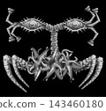 Scary, frightening monster illustration - spider type (with background) 143460180