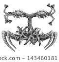 Scary, frightening monster illustration - spider type (no background) 143460181
