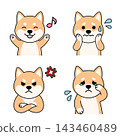 一組可愛的柴犬（紅色柴犬）插圖，展現了喜悅、憤怒、悲傷和幸福的表情。 143460489