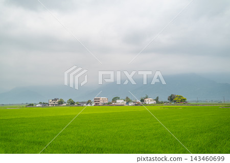 Green rice field and village in Chishang, Taiwan Green rice field and village in Chishang, Taiwan 143460699