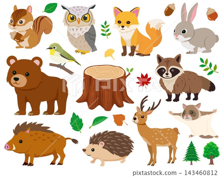 森林動物與自然插畫集:秋季 森林動物與自然插畫集:秋季 143460812