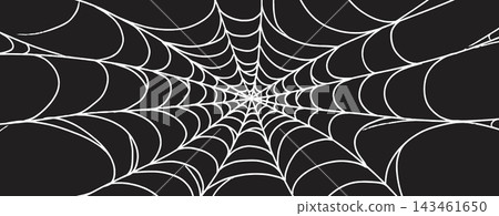Wide hand drawn spider web background. White linear cobweb sketch wallpaper. Old spooky tangled net drawing. Halloween doodle element for banner, poster, decoration. Vector cute spiderweb illustration 143461650