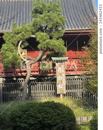 寺廟庭院裡排列著一排燈籠 寺廟庭院裡排列著一排燈籠 143462453