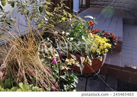 Autumn flowers and pots Autumn flowers and pots 143465483