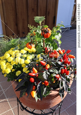 Group planting of autumn flowers Group planting of autumn flowers 143465490