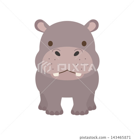 A cute hippo character illustration facing forward. A cute hippo character illustration facing forward. 143465871