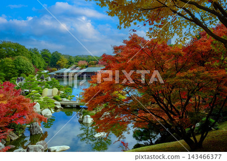 美麗的秋葉和日式花園 美麗的秋葉和日式花園 143466377