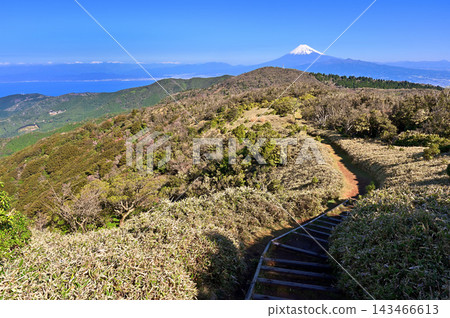 伊豆半島小達魯馬山:從伊豆山脊步道的草地上可以看到白雪皚皚的富士山和南阿爾卑斯山。 伊豆半島小達魯馬山:從伊豆山脊步道的草地上可以看到白雪皚皚的富士山和南阿爾卑斯山。 143466613