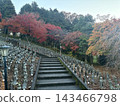 stairs autumn leaves 143466798