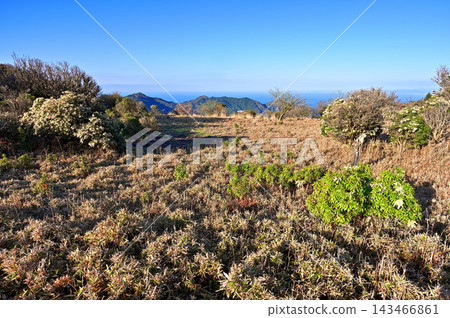 伊豆半島伊豆山脊步道：從達摩山高原眺望駿河灣 143466861