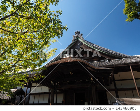 莊嚴的門跡寺院建築。滋賀縣近江八幡市瑞龍寺正殿,在晴朗的天空下顯得格外醒目。 莊嚴的門跡寺院建築。滋賀縣近江八幡市瑞龍寺正殿,在晴朗的天空下顯得格外醒目。 143466903