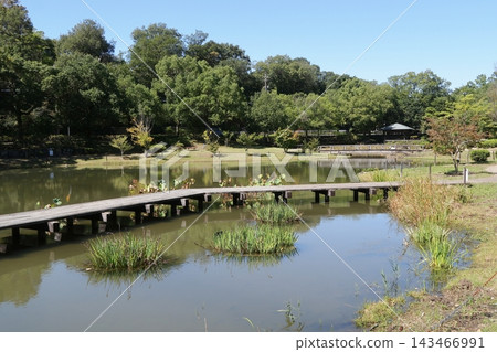 大谷池,綠皮亞春日井的鳶尾花園就位於此處。 大谷池,綠皮亞春日井的鳶尾花園就位於此處。 143466991