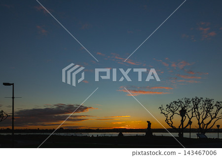 The sunset sky and the silhouettes of trees as seen from San Diego's coastal park. 143467006