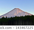 Fuji and forest 143467225