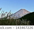 Susuki and Mt. Fuji 143467226