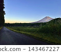 Mount Fuji in the morning light as seen from a forest road 143467227