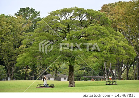 At Meijo Park At Meijo Park 143467835