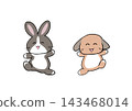 The rabbits are having a great time playing. 143468014