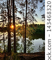 Sunset Glows Through Pine Trees Beside a Lake 143468320